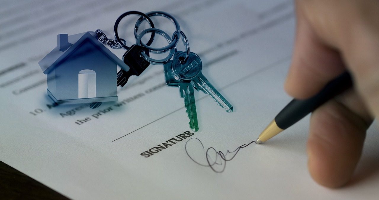 Property development planning and architectural project